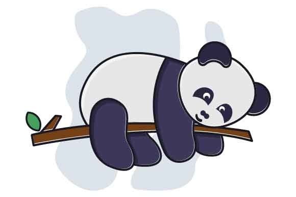 Download Cute Funny Baby Panda - Baby panda Collection